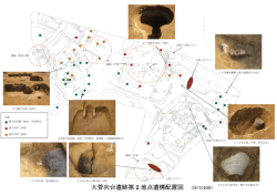 大菅向台遺跡第2地点遺構配置図